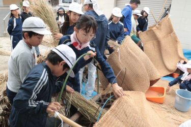 足踏み脱穀機に稲をかける子どもたち=岡山県津山市で