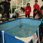 エビ釣りに挑戦する親子連れ