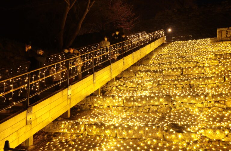 石段のイルミネーション「光の滝」=岡山県津山市で