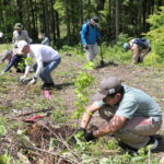 豊かな森林を育もうと木を植える参加者=岡山県新庄村で