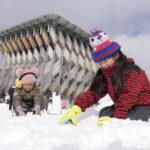 かまくら作りに熱中する子どもたち