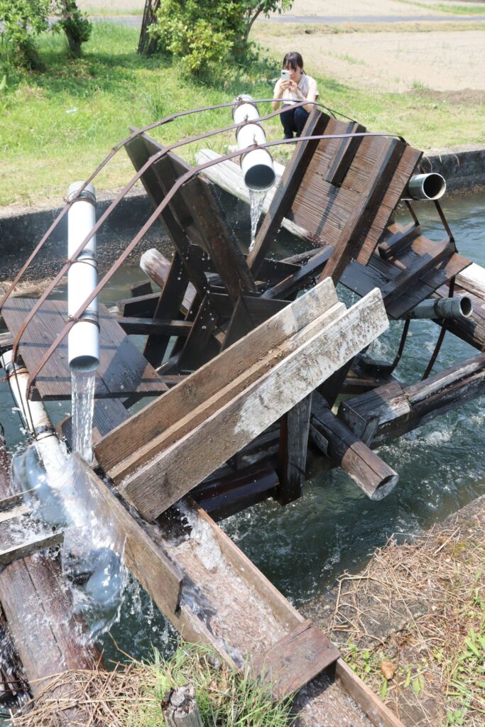 中島地区で回る水揚げ水車