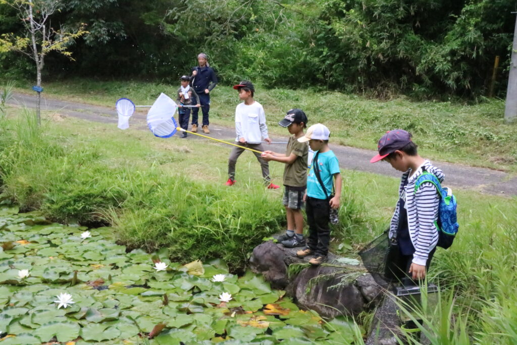 水辺で昆虫を探す子どもたち