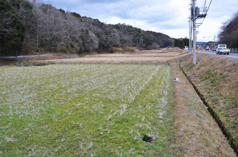 「柵原学園（仮称）」新設