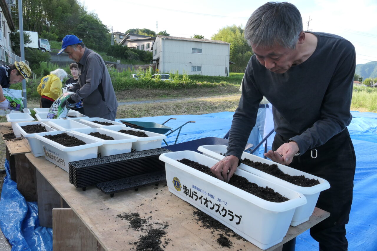 ミニヒマワリの種を植える津山衆楽LCメンバー=岡山県津山市で