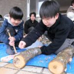 キノコの植菌作業を体験する子どもたち=岡山県津山市で