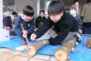 キノコの植菌作業を体験する子どもたち=岡山県津山市で