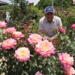 長い年月をかけて見事な庭園を作り上げた甲本さん
