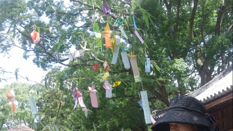 ササの飾り付けをする作楽神社敬神婦人会のメンバーら