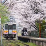 通り過ぎた列車を見送る写真愛好家たち=2024年4月6日午後5時