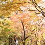 色とりどりに染まる木々のトンネルをくぐる行楽客