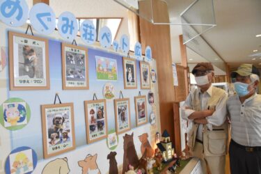 百々温泉めぐみ荘でペットの写真展が開かれる／岡山・津山市