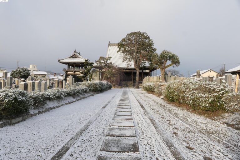 雪が積った岡山県津山市の妙法寺境内＝午前8時4分撮影