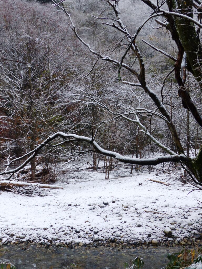 阿波の雪景色