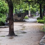 推しが武道館いってくれたら死ぬ・聖地　西川緑道公園＝岡山県岡山市北区平和町