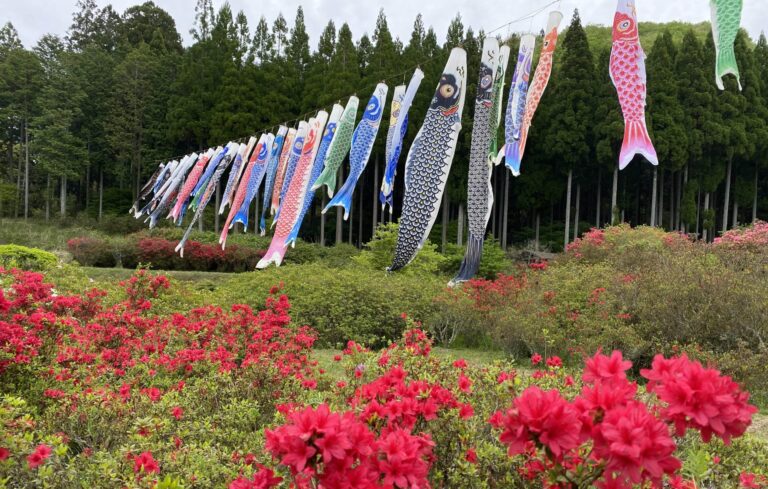 咲き誇るツツジの上ではためくこいのぼり=2024年4月27日午前10時30分、岡山県美作市で